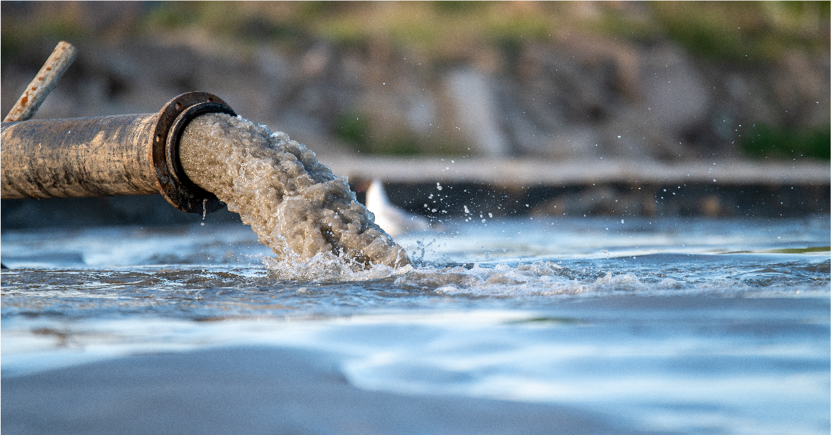 what is brackish water